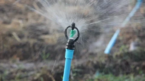 Sprinkler 動画素材 35066302