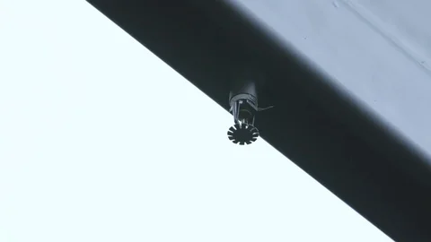 Sprinkler Stock Footage 82076649