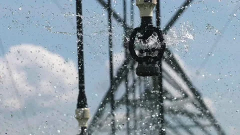Sprinkler Stock Footage 187950817