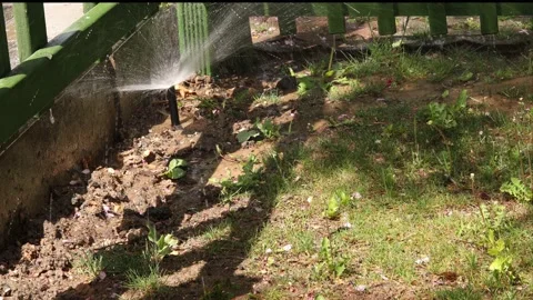 Sprinkler in the garden Stock Footage 188548883