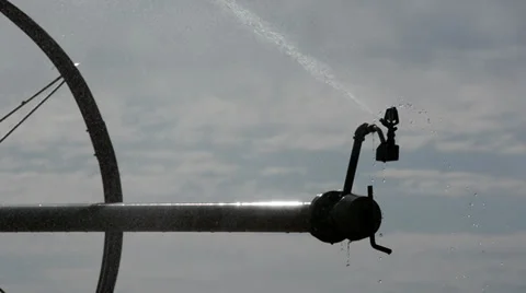 Sprinkler head detail. Stock-Footage 37166565