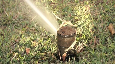 Sprinkler Head Stock Footage 137210231