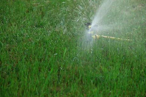 Sprinkler head irrigates the grass Stock Photos