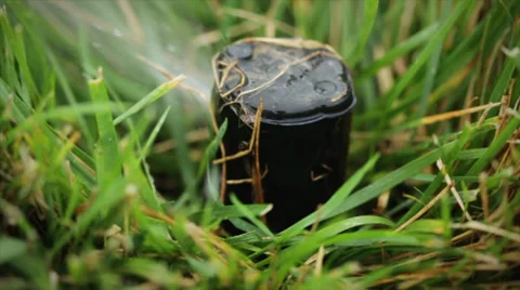 Sprinkler Head Rises Out of the Ground Stock Footage 34401433