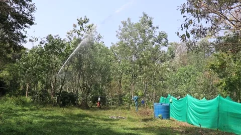 Sprinkler head watering in function on a small field of grass Stock Footage 171603431