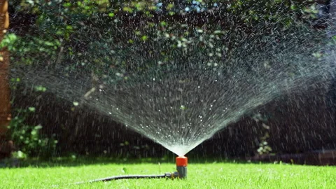 Sprinkler Head Watering Green Grass Lawn. Sprinkler Irrigation System Working in Stock Footage 257536633