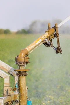 Sprinkler irrigates fields Stock Photos