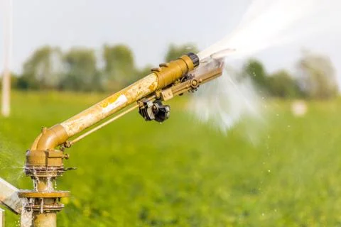 Sprinkler irrigates fields Stock Photos