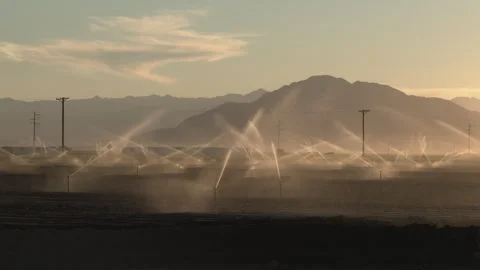 Sprinkler irrigation of CA crops. 4K. Stock Footage 241677604