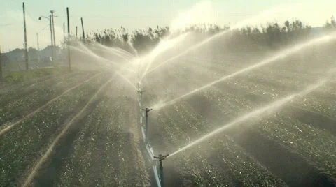 Sprinkler irrigation in field Stock Footage 266388