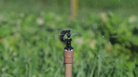 Sprinkler irrigation Video stock 92695300