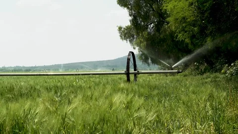 Sprinkler irrigation Stock Footage 108691088