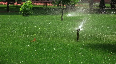 Sprinkler irrigation in park Stock Footage
