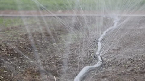 Sprinkler irrigation spraying water over a dry agricultural field with sparse gr Stock Footage 345600596