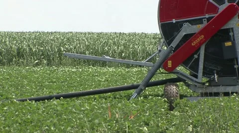 Sprinkler irrigation system part Stock Footage 41134966