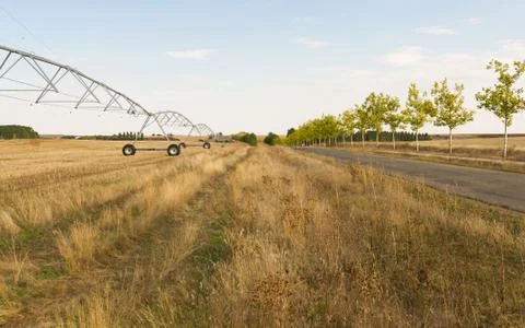 Sprinkler Irrigation System Stock-Fotos