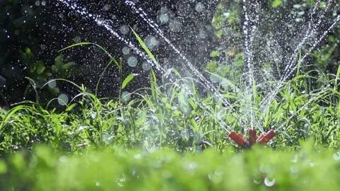 Sprinkler On Lawn Stockbeeldmateriaal 159005816