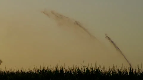 Sprinkler machine in front of the sunset, Corn monoculture in France in a hot Video stock 328363273