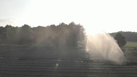 Sprinkler in meadow Stock Footage 90047938