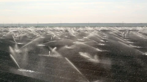 Sprinkler Operation Stock-Footage 94643871