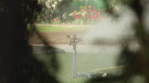 Sprinkler in Park 스톡 동영상 23113584