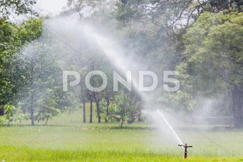Sprinkler Stock Photos
