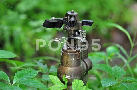 Sprinkler Stock Photos