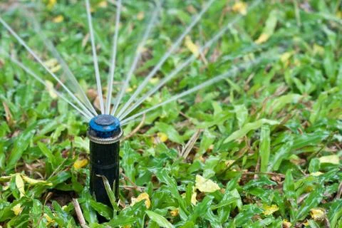 Sprinkler Stock Photos