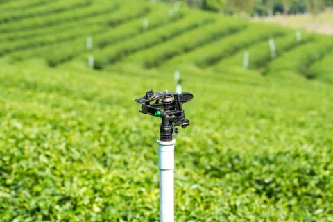 Sprinkler Stock Photos