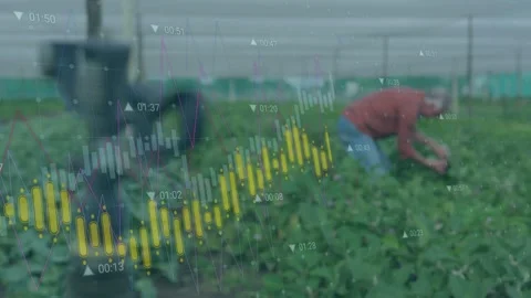 Sprinkler rotating, focus shifting, yellow bars tracking flow while senior Video stock 332804537
