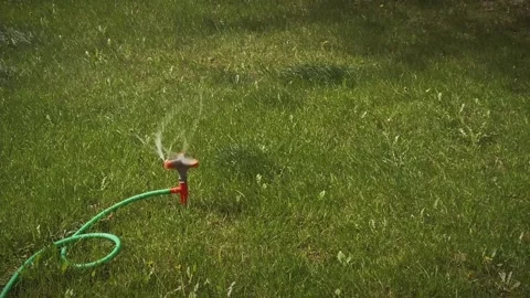 Sprinkler set up on backyard lawn. Stock Footage 194396429