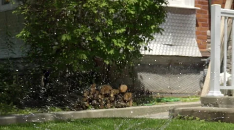 Sprinkler in slow motion. Stock Footage 51590634