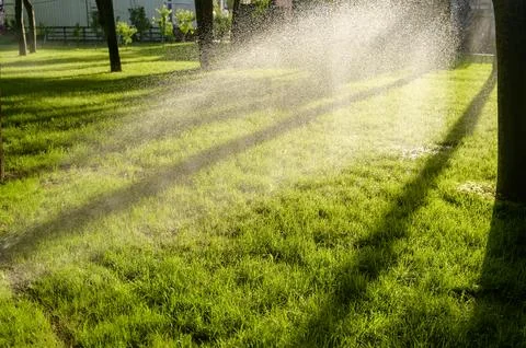 Sprinkler system creating a rain effect on green grass. Perfect morning light. Stock Photos