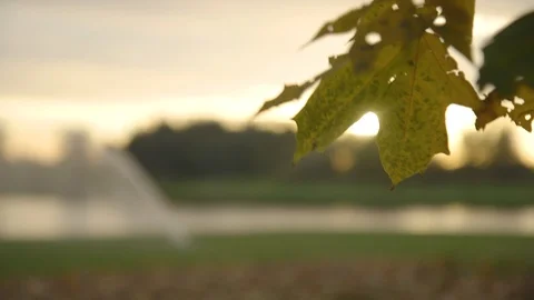 Sprinkler System Golf Course Stock Footage 127035999