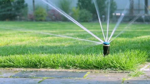Sprinkler system Irrigating Field in agricultural field with large and Video stock 334656530