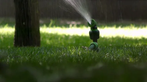 Sprinkler system in the park Stock Footage 91249932
