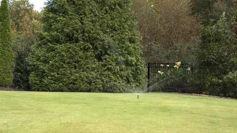 Sprinkler System in Suburban Back Yard Stock Footage 288532716