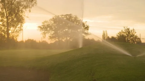 Sprinkler System Sunrise Vídeo Stock 127036012