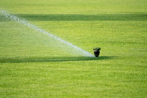 Sprinkler system working on fresh green grass on football (soccer) stadium Stock Photos