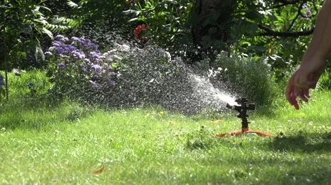 Sprinkler tool watering Stock Footage 58147224