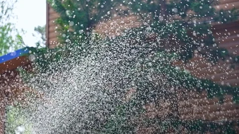 Sprinkler Watering a Backyard. Stock Footage 284914849