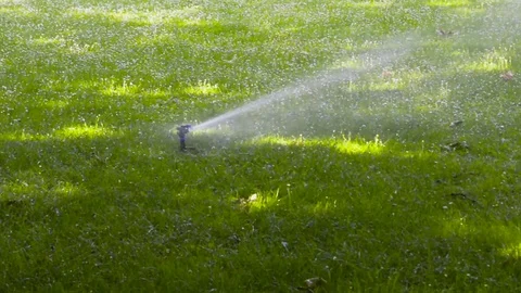 Sprinkler watering Stock Footage 75981226