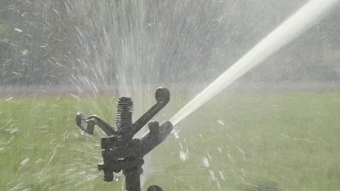 Sprinkler watering in golf course Stock Footage