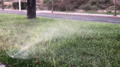Sprinkler watering the grass Stock Footage 139599463