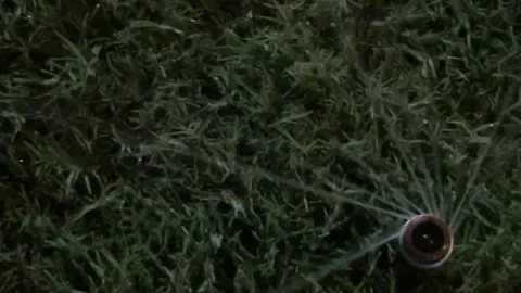 Sprinkler watering grass overhead view  Stock Footage 277620624