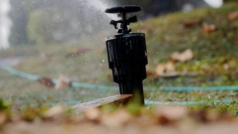 Sprinkler for watering vegetables Stock Footage 103807649