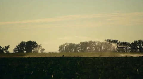 Sprinkler waters a field with cabbage. Slow motion Stock Footage 63835573