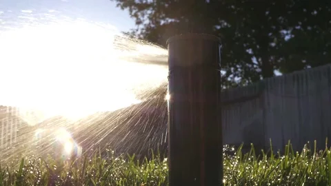 Sprinkler in a Yard on a Sunny Day Stock Footage 75918442