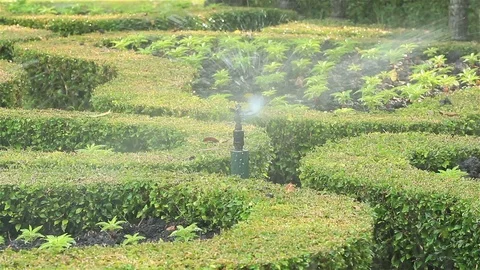 Sprinkler2 HD Stock Footage 118839333