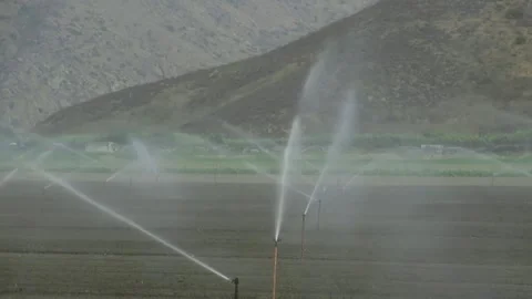 Sprinklers on a Farm Close Up Video stock 254656476